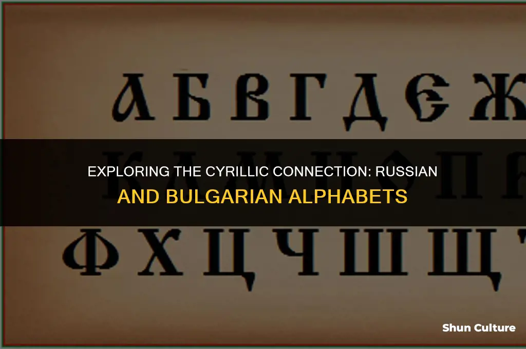 does russian and bulgarian use the same alphabet