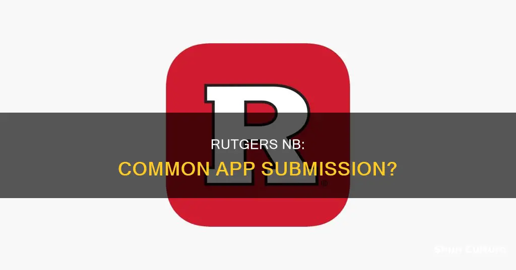 does rutgers new brunswick accept common app