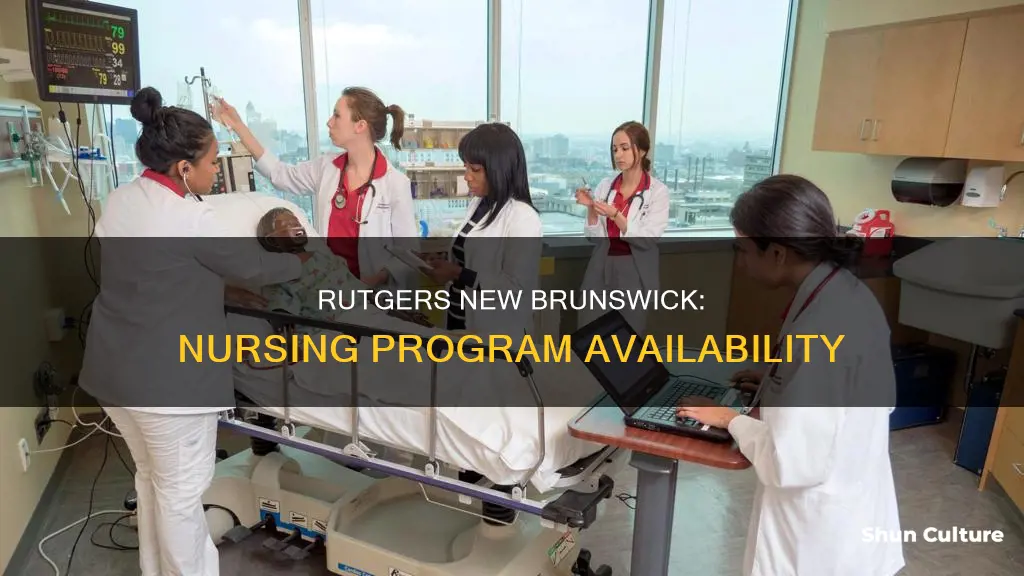 does rutgers new brunswick have a nursing program
