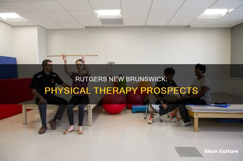 does rutgers new brunswick have a physical therapy program