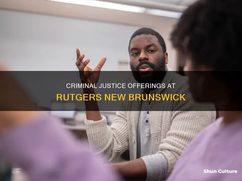 does rutgers new brunswick have criminal justice