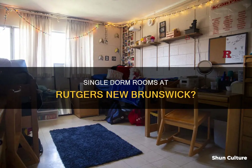 does rutgers new brunswick have single bedroom dorming