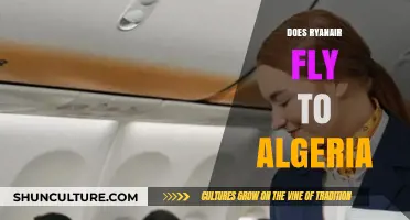 Ryanair Flights to Algeria: Routes, Availability, and Travel Tips