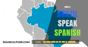 Does Brazil Speak Spanish? Unraveling the Language Myth in South America