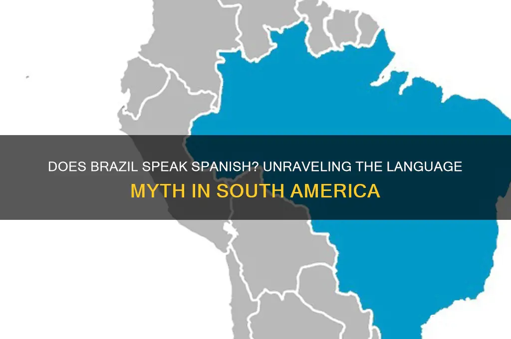 does s brazil speak spanish