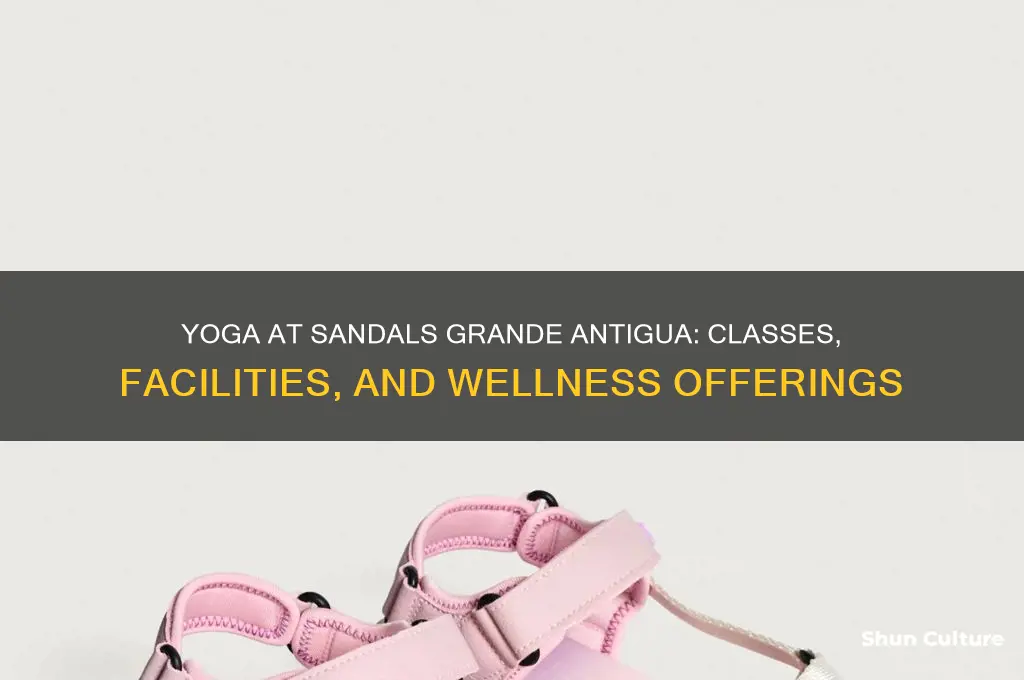does sandals grande antigua have yoga