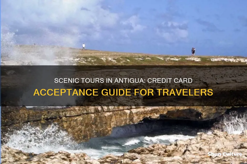 does scenic tours in antigua accept credit cards