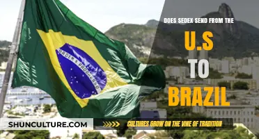 Does Sedex Offer International Shipping from the U.S. to Brazil?