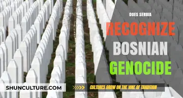 Serbia's Stance on the Bosnian Genocide: Recognition and Denial Debated