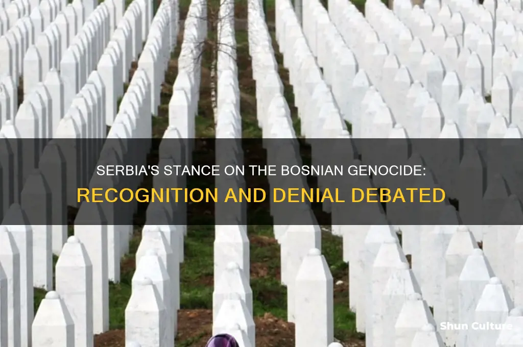 does serbia recognize bosnian genocide
