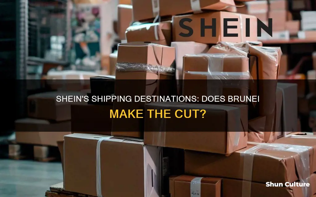 does shein ship to brunei