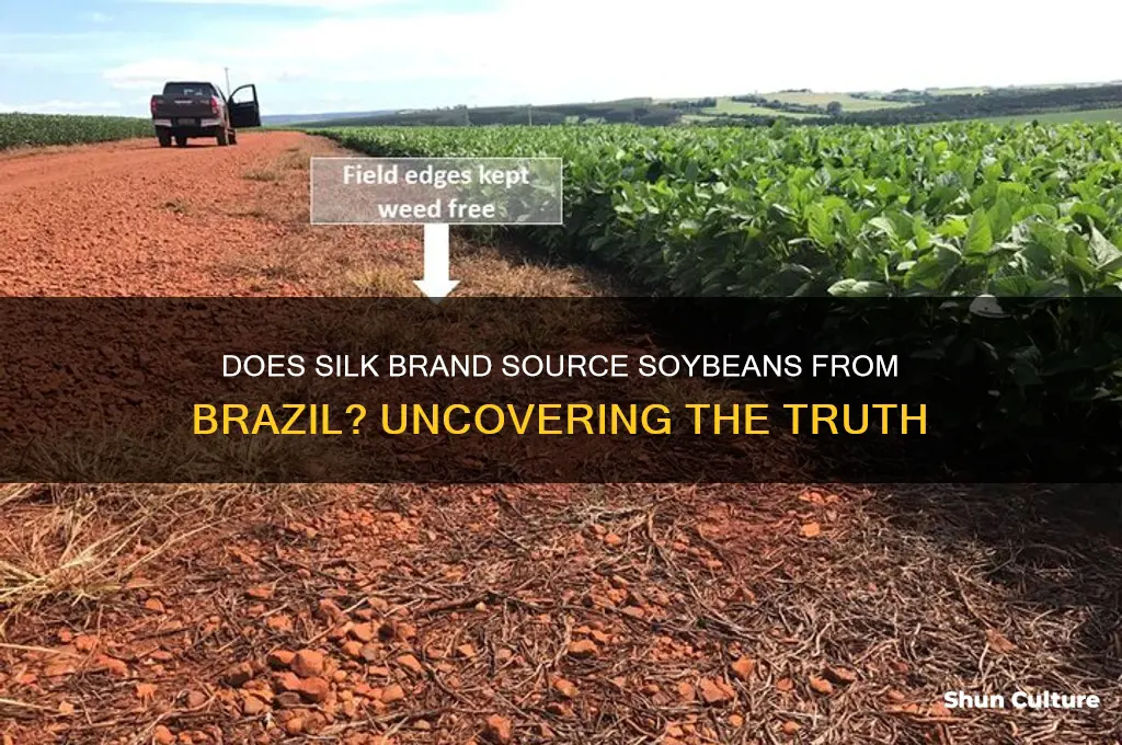 does silk brand grow soybeans in brazil