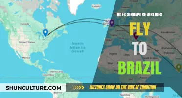 Does Singapore Airlines Offer Flights to Brazil? A Comprehensive Guide