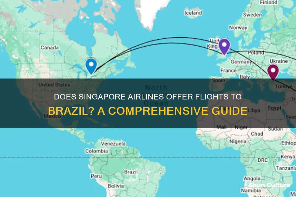 does singapore airlines fly to brazil