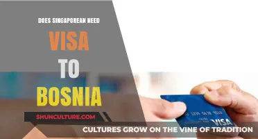 Do Singaporeans Need a Visa to Visit Bosnia and Herzegovina?
