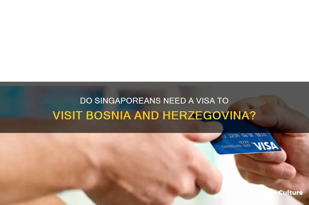 does singaporean need visa to bosnia