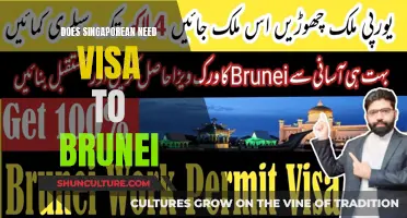 Visa Requirements for Singaporeans Visiting Brunei