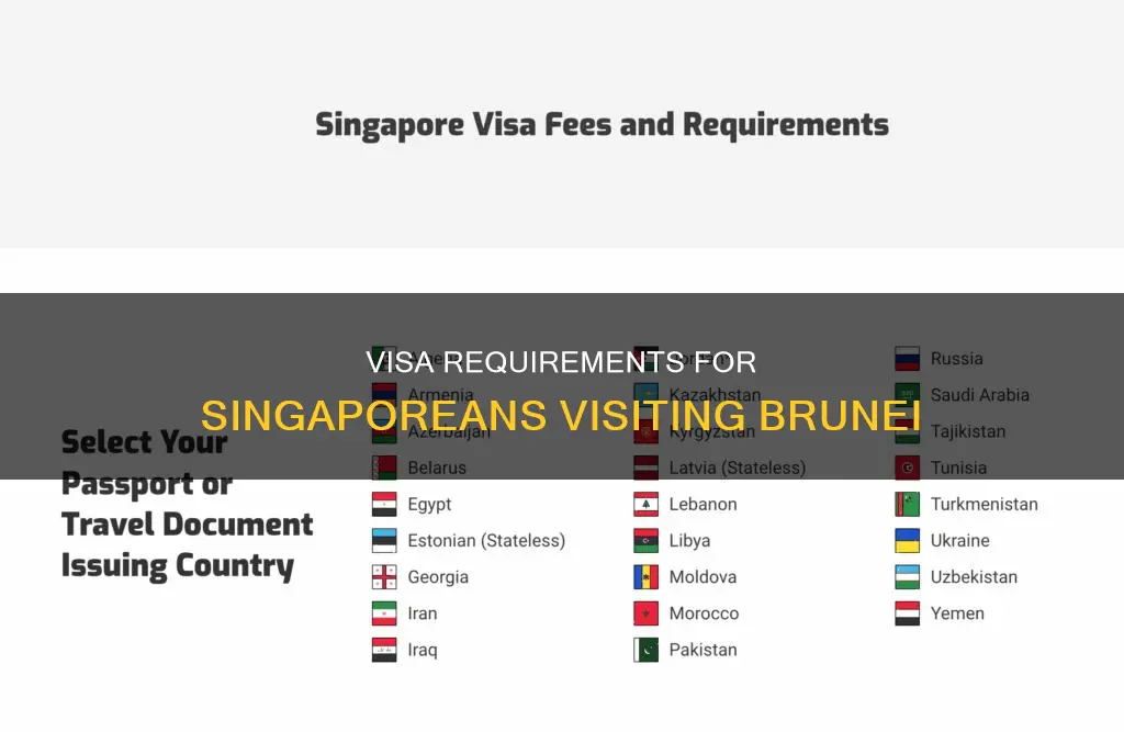 does singaporean need visa to brunei