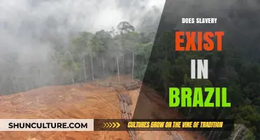 Modern Slavery in Brazil: Uncovering Hidden Chains and Exploitative Practices