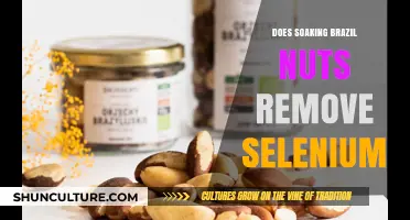 Does Soaking Brazil Nuts Reduce Selenium Content? A Nutritional Insight