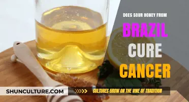 Sour Honey from Brazil: Exploring Its Potential as a Cancer Cure