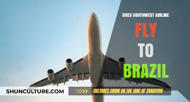 Does Southwest Airlines Offer Flights to Brazil? A Comprehensive Guide