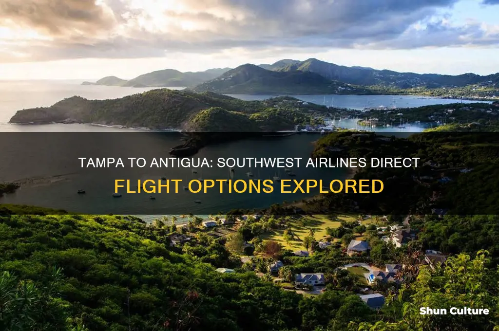 does southwest airlines fly direct from tampa to antigua