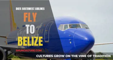 Southwest Airlines: Your Direct Route to Belize