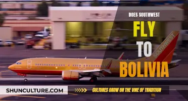 Southwest's Flight Routes: Exploring Bolivia and Beyond