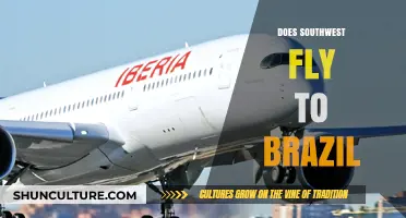 Does Southwest Airlines Offer Flights to Brazil? A Travel Guide