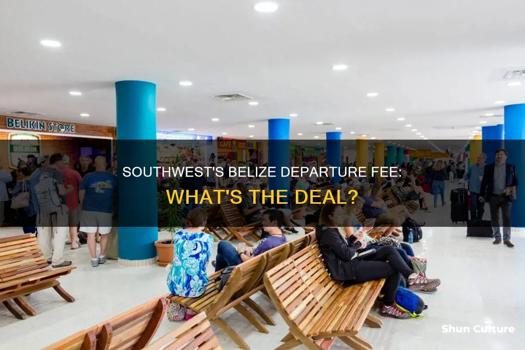 does southwext include fee for leaving belize