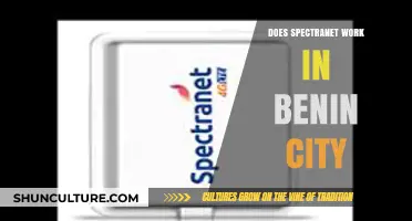 Exploring Spectranet's Reach: Does It Work in Benin City?