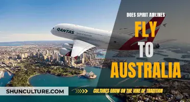 Spirit Airlines: Australia-Bound or Not?