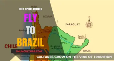 Does Spirit Airlines Fly to Brazil? Routes and Destinations Explained