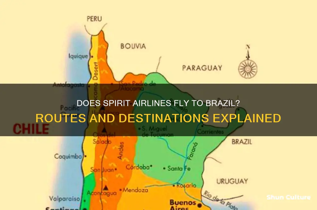 does spirit airlines fly to brazil