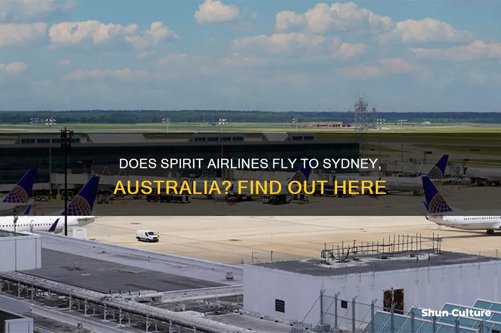 does spirit airlines fly to sydney australia