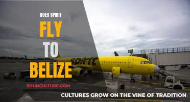 Spirit Airlines: Your Gateway to Belize's Beauty