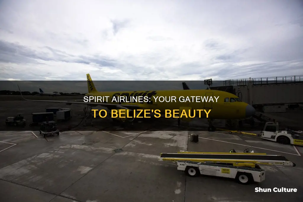 does spirit fly to belize