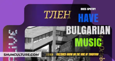 Exploring Spotify's Music Library: A Search for Bulgarian Tunes