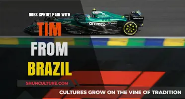 Sprint and Tim from Brazil: Exploring a Potential Partnership