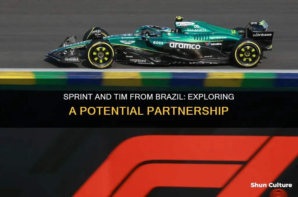 does sprint pair with tim from brazil