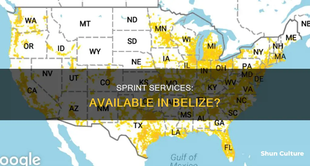 does sprint work in belize