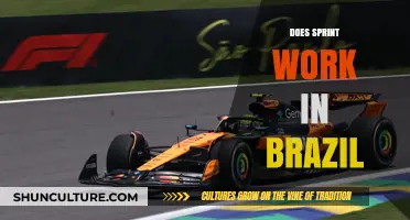 Does Sprint Work in Brazil? A Comprehensive Network Coverage Guide