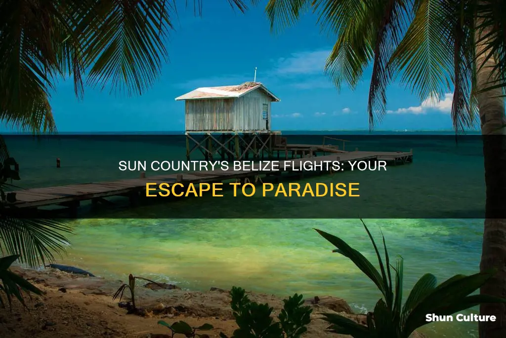 does sun country fly to belize