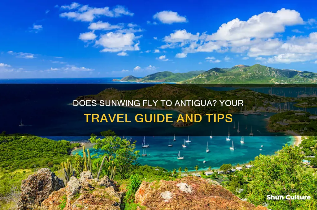 does sunwing fly to antigua