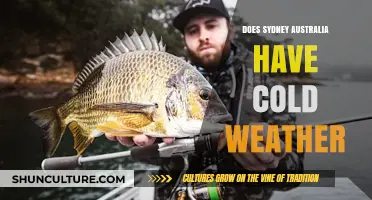 Sydney's Climate: Unveiling the Truth About Cold Weather in Australia