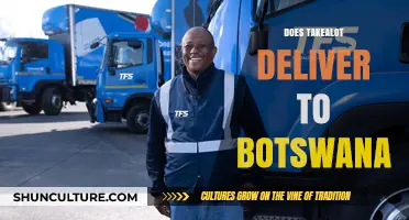 Does Takealot Deliver to Botswana? Shipping Options and Details Explained