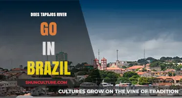 Exploring Brazil's Tapajós River: Its Course and Significance