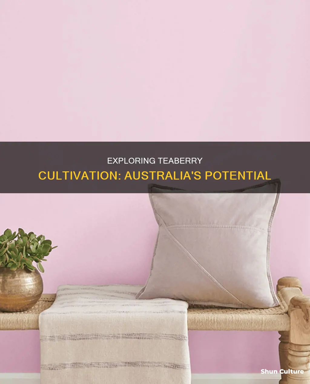 does teaberry grow in australia