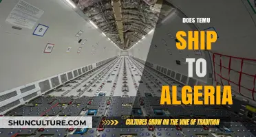 Does Temu Deliver to Algeria? Shipping Details and Availability Explained